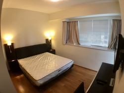 Amaryllis Ville (D11), Condominium #172823182